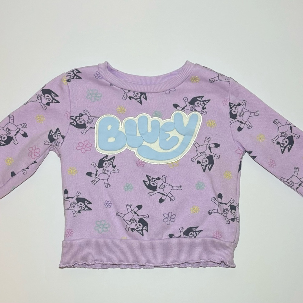 Toddler Girls ; Bluey Elevated Fleece Pullover - Purple Kids 3T